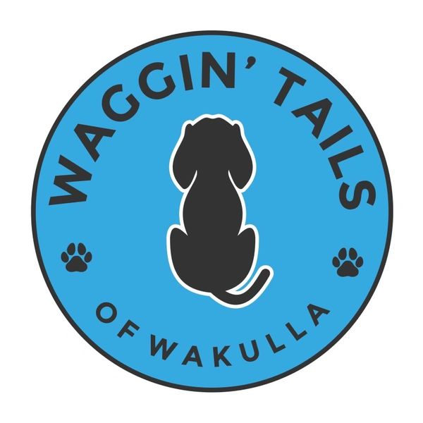 Doggie Daycare, Doggy Day Care, Dog Boarding Waggin' Tails of Wakulla